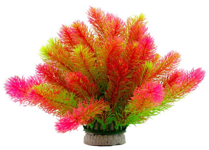 Plastik Akvaryum Bitkisi Colour Mix - 202631