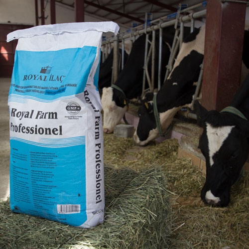 Royal Farm Professional 25Kg Mayalı Biotinli ve Sodalı Yem Katı Vitamin