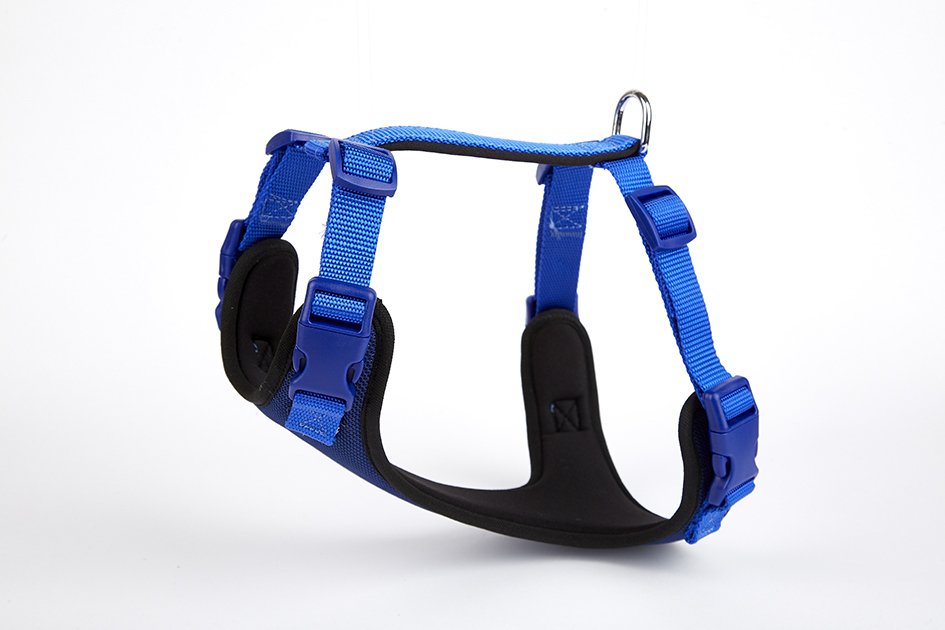 Doggie Yumuşak Softlu Köpek Göğüs Tasması 45/55 cm Mavi