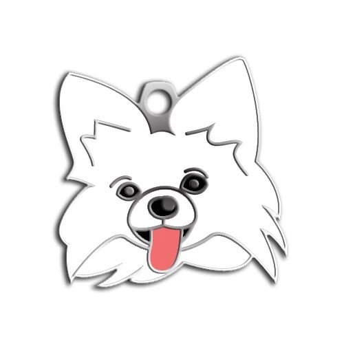 Papillon Köpek Künyesi (Beyaz)