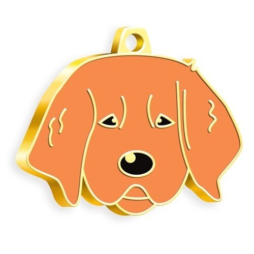 Altın Kaplama Yavru Golden Köpek Künyesi (Kızıl)