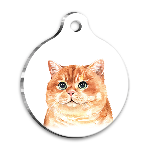 Suluboya 3 Yuvarlak Kedi Künyesi
