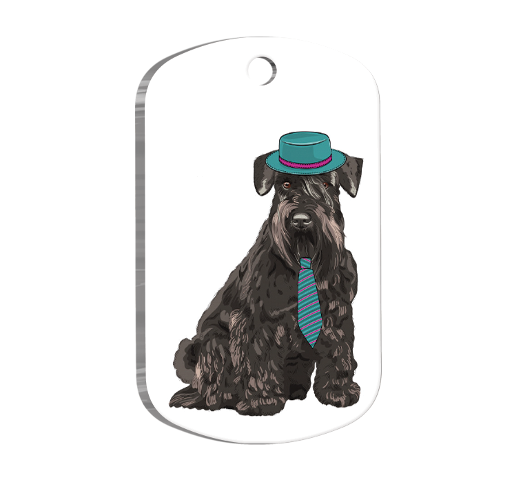 Schnauzer Resimli Köpek Künyesi