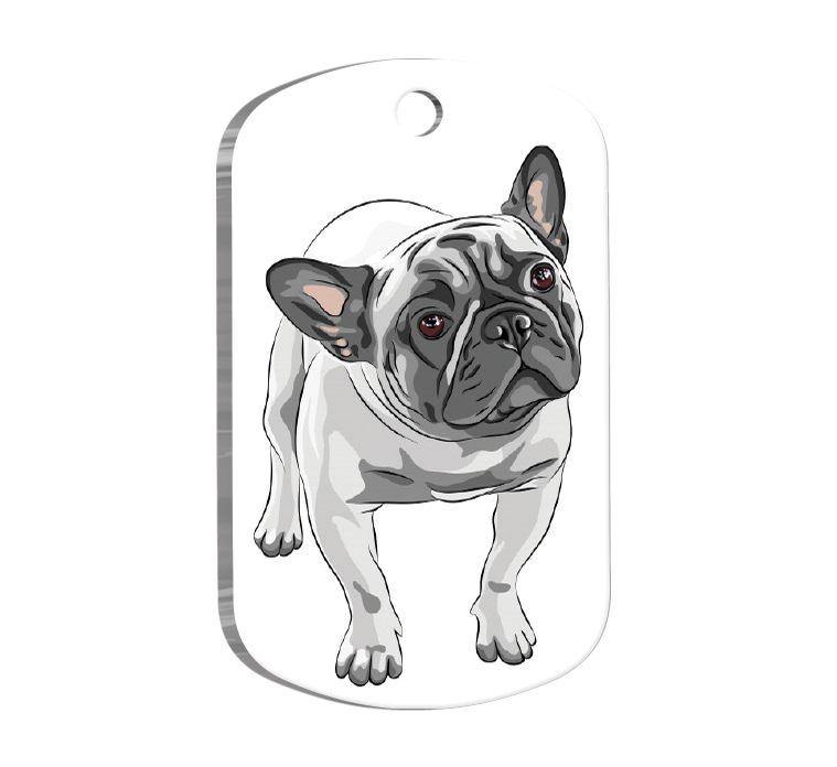 French Bulldog 3 Resimli Köpek Künyesi
