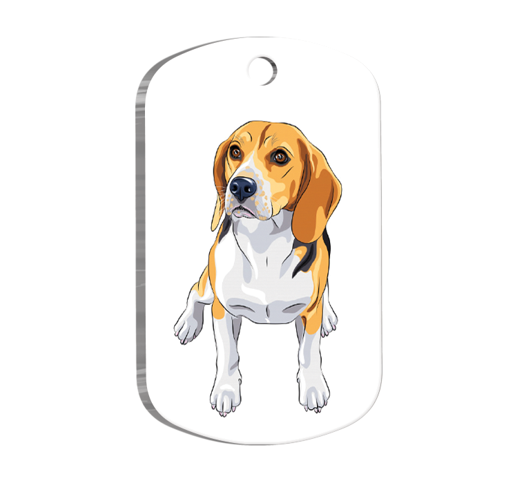 Beagle Breed Resimli Köpek Künyesi