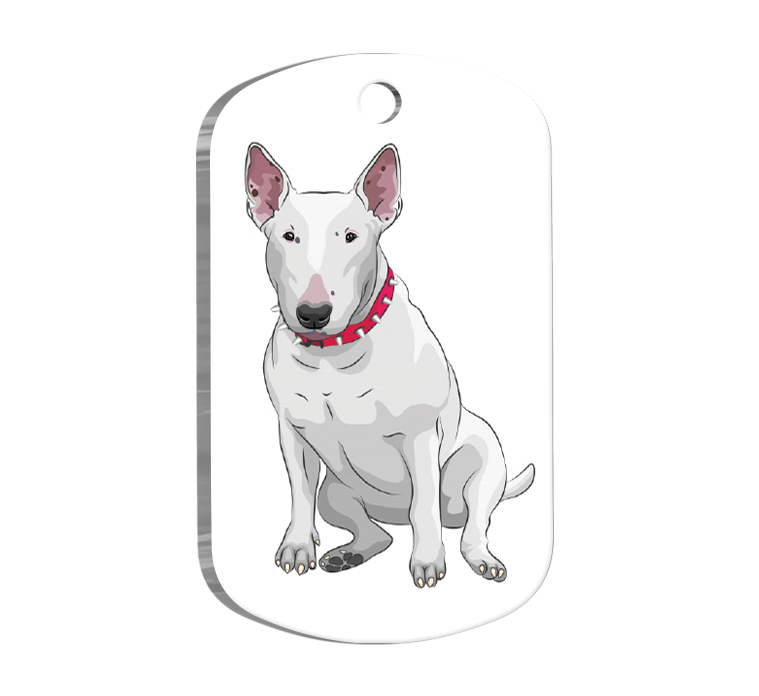 Bull Terrier Resimli Köpek Künyesi
