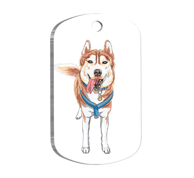 Siberian Husky Resimli Köpek Künyesi