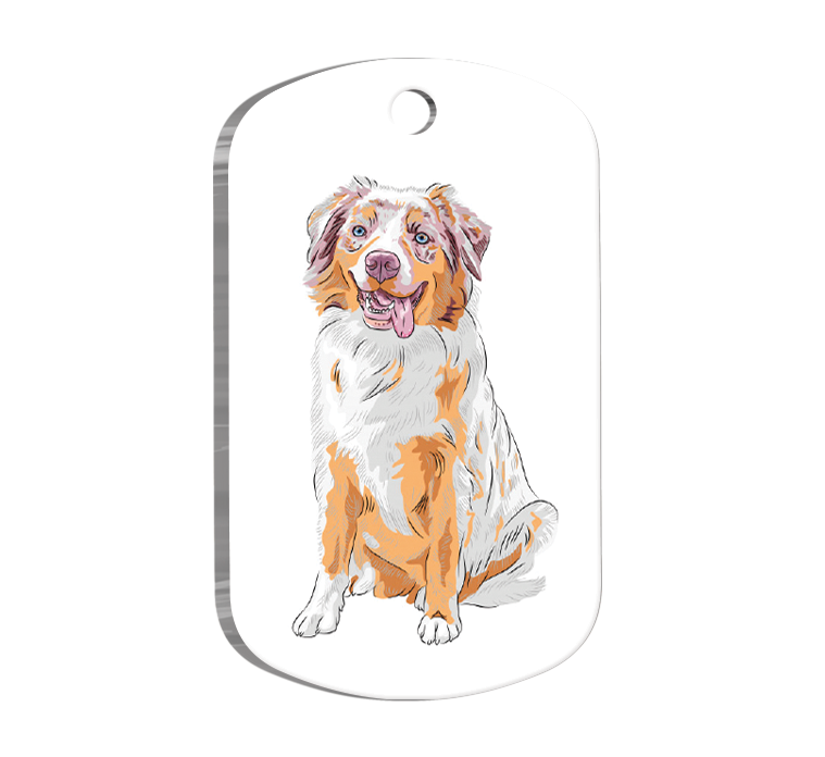 Australian Shepherd Resimli Köpek Künyesi