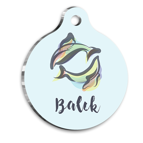 Balık Burcu Kedi köpek Künyesi