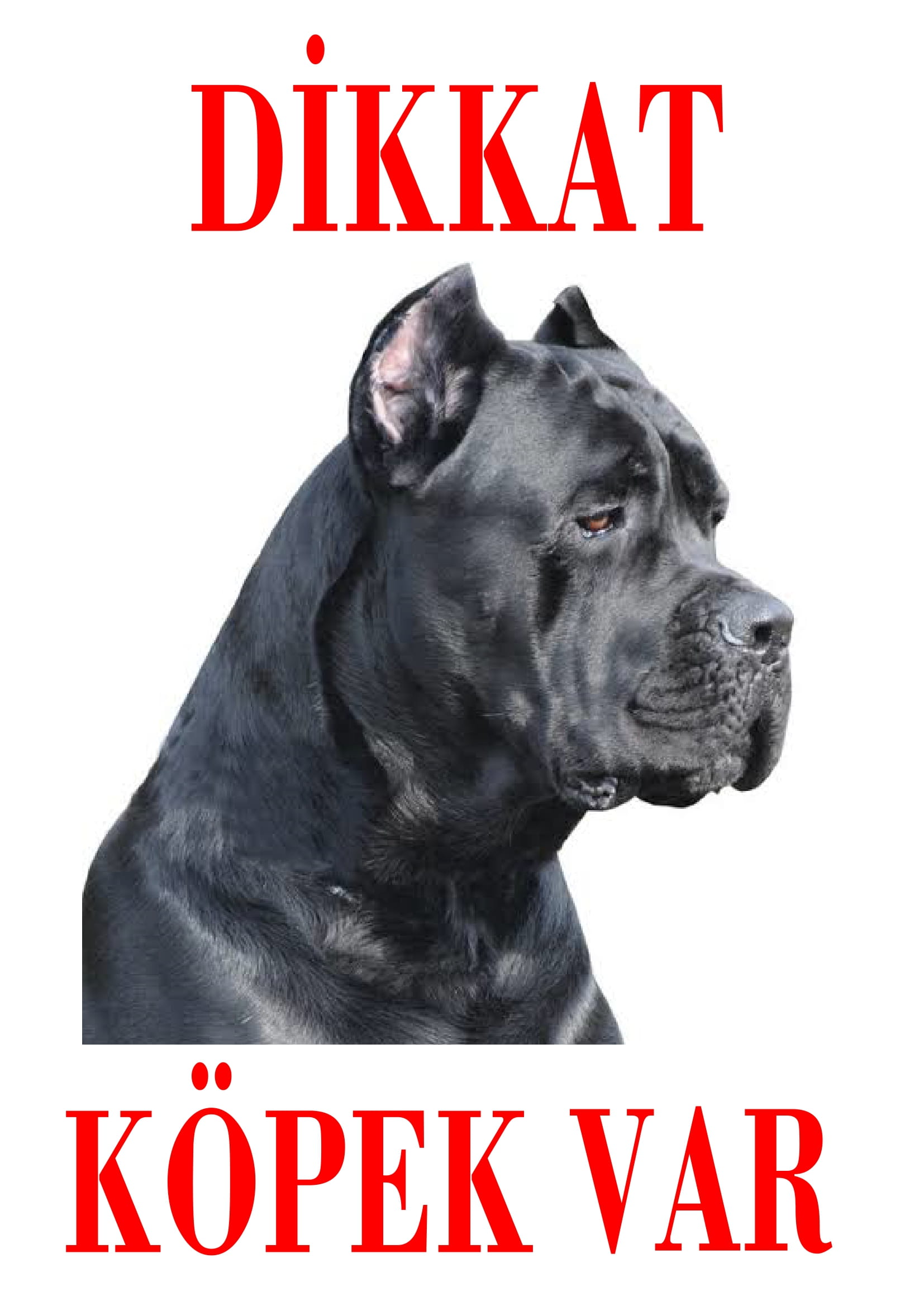 Dikkat Köpek Var Uyarı Levhası (Renkli Cane Corso-2)