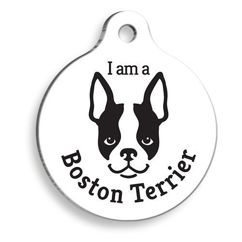 Beyaz Boston Terrier Yuvarlak Köpek Künyesi