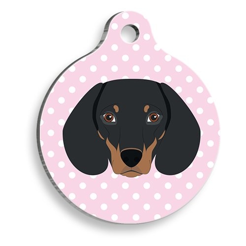 Pembe Puantiyeli Dakhund Sosis Köğeği Yuvarlak Köpek Künyesi