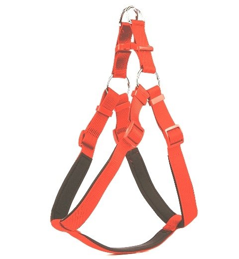Doggie Comfort Ronin Köpek Bel Tasması 3cm-75 x 85 cm 3X-Large Kırmızı