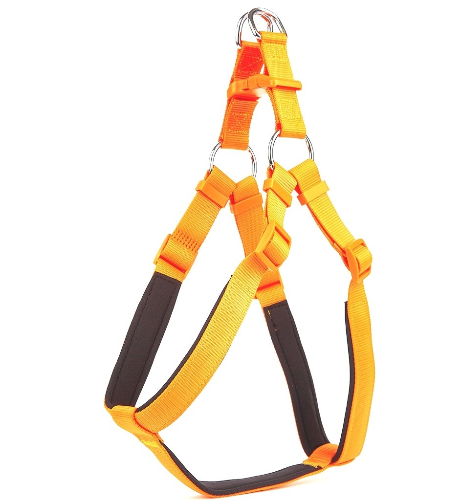 Doggie Comfort Ronin Köpek Bel Tasması 3cm-75 x 85 cm 3X-Large Turuncu
