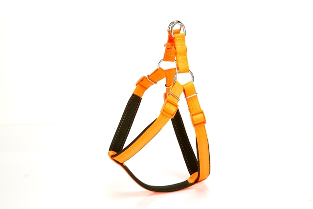 Doggie Comfort Ronin Köpek Bel Tasması 95cm XX-Large Turuncu