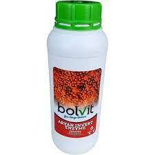 Bolvit Aryan İnvert Enzim 1 LT