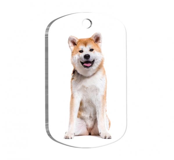 Akita Köpek Künyesi
