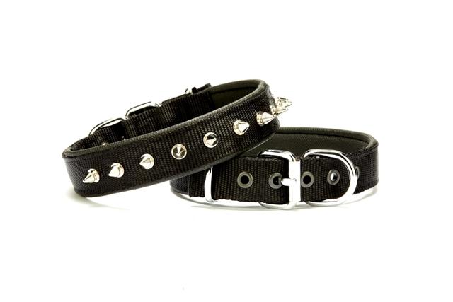 Doggie Çivi Desenli Köpek Tasması 2,5*50 cm Siyah