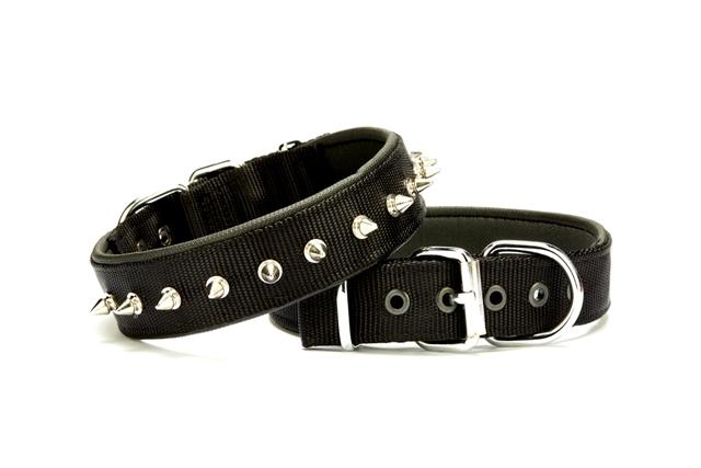 Doggie Çivi Desenli Köpek Tasması 3*55 cm Siyah