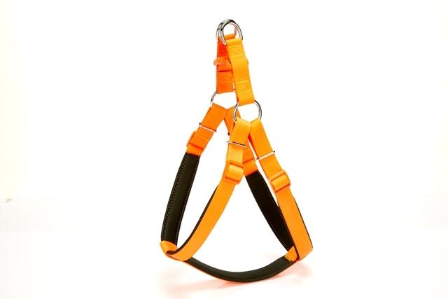 Doggie Comfort Ronin Köpek Bel Tasması 70cm Large Turuncu