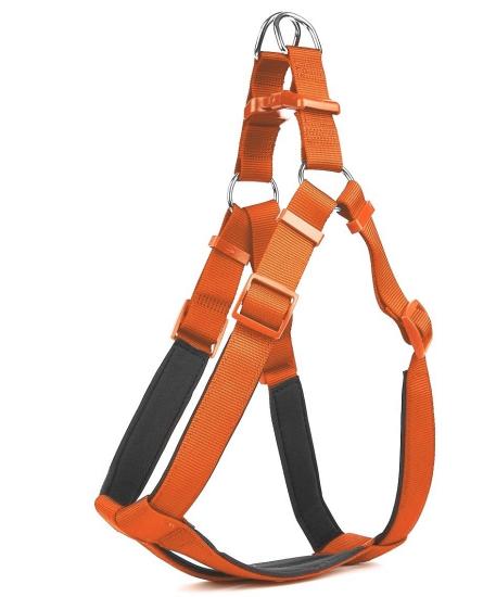 Doggie Comfort Ronin Köpek Bel Tasması 70cm Large Turuncu Outlet