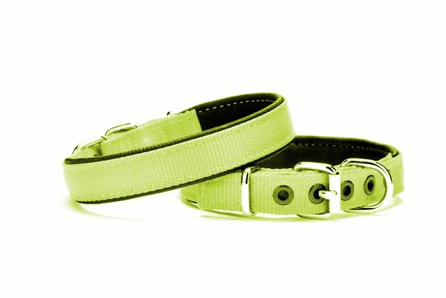 Yumuşak Doku Köpek Boyun Tasması 2/45 cm Yeşil