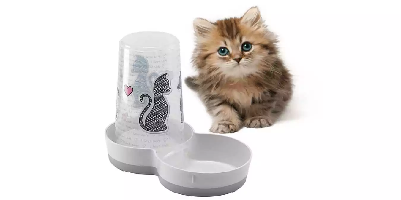 Kedi Mama Kabı & Suluk
